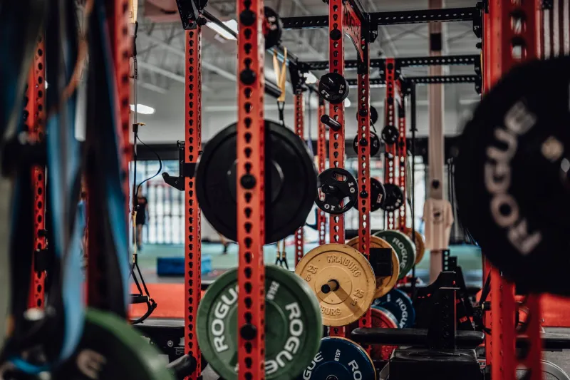 Iron Foundation: The Science and Sweat Behind Renzan's Unbreakable Athletes